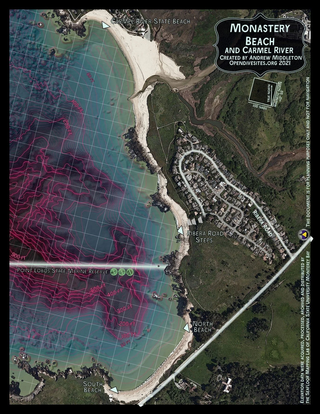 Diving Monterey Atlas by Andrew Middleton