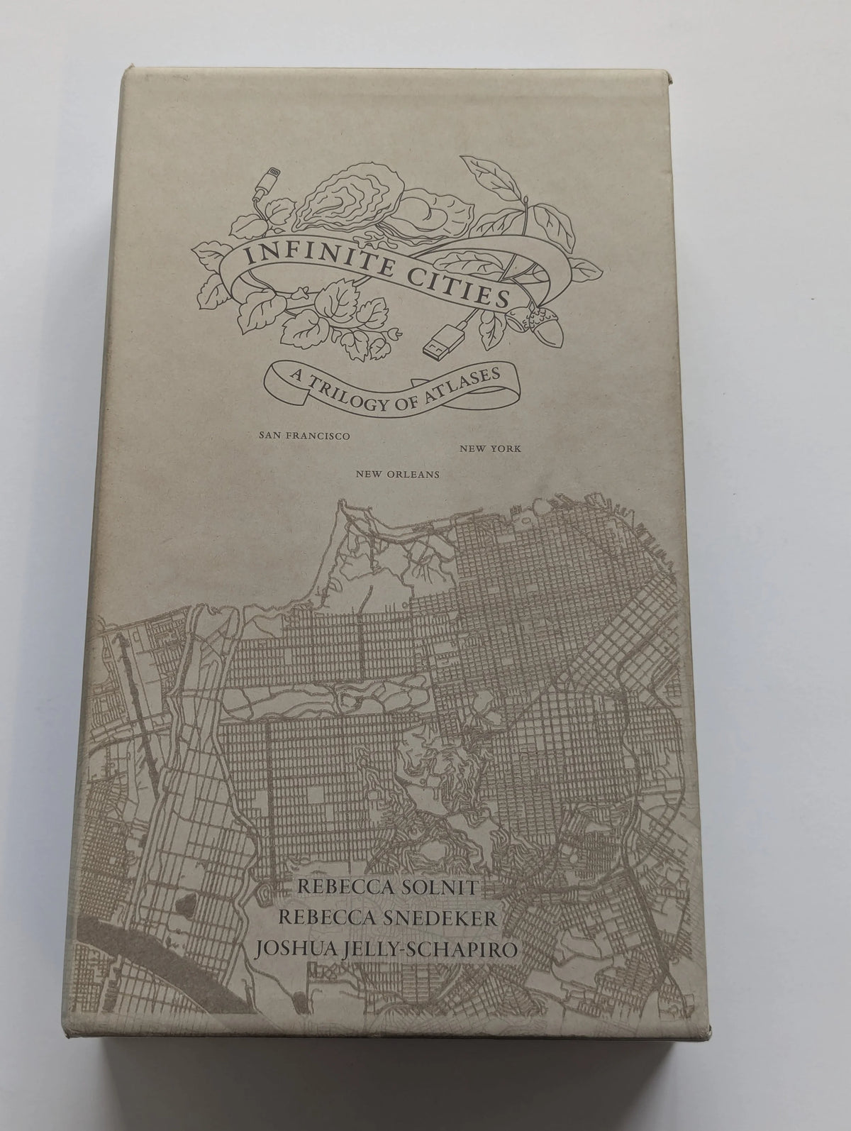 Infinite Cities by Rebecca Solnit