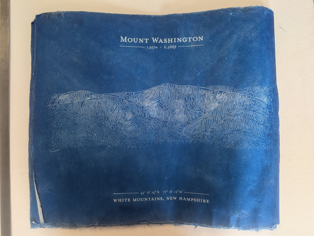 Cyanotypes by Daniel Huffman