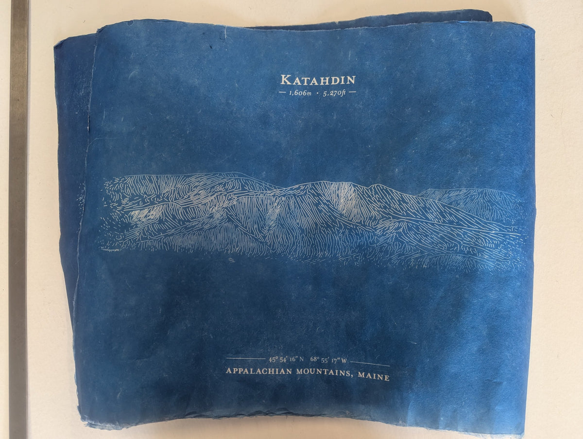 Cyanotypes by Daniel Huffman