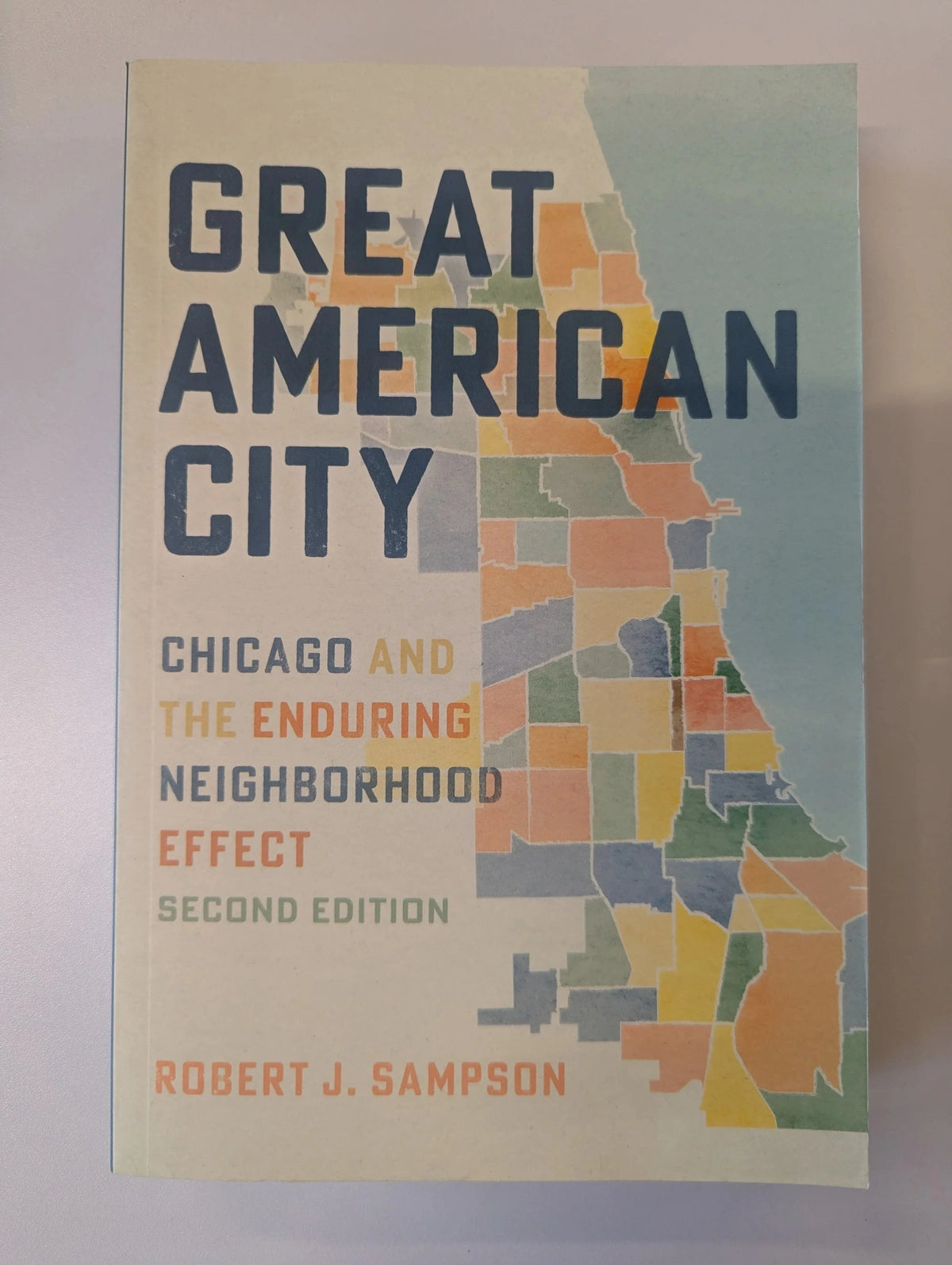 Great American City by Robert J Sampson