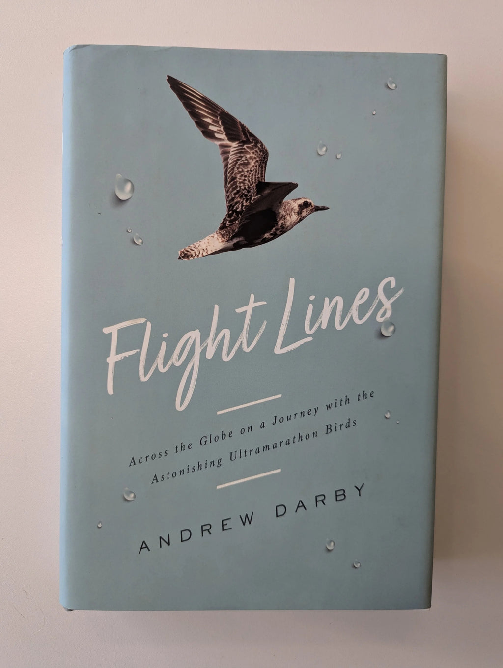 Flight Lines by Andrew Darby