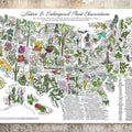 Native and Endangered Plant Observations by Jen Urso