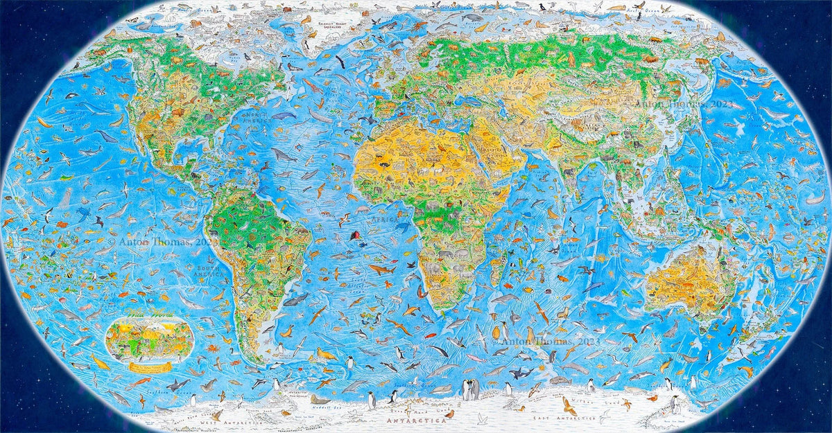 Wild World by Anton Thomas